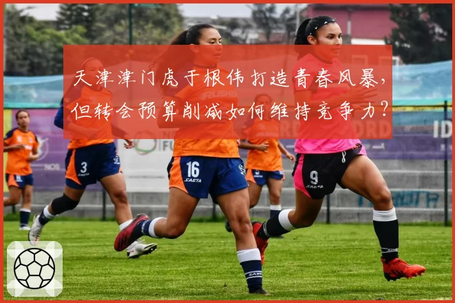 天津津门虎于根伟打造青春风暴,但转会预算削减如何维持竞争力?