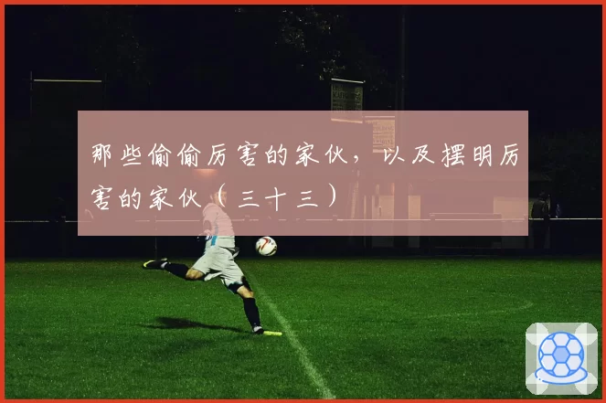 那些偷偷厉害的家伙，以及摆明厉害的家伙（三十三）