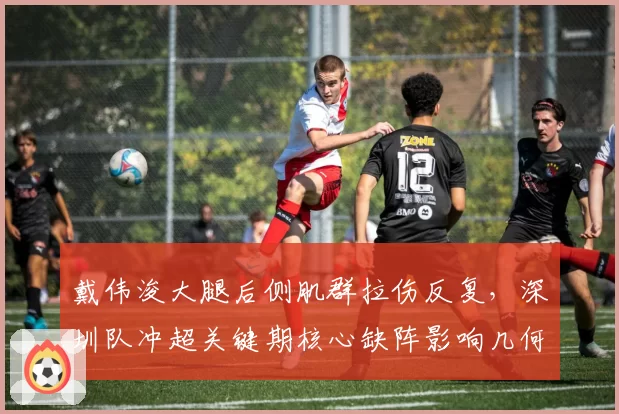 戴伟浚大腿后侧肌群拉伤反复,深圳队冲超关键期核心缺阵影响几何?