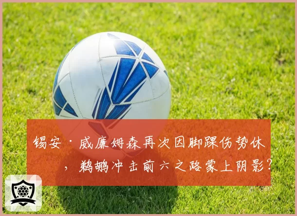 锡安·威廉姆森再次因脚踝伤势休战,鹈鹕冲击前六之路蒙上阴影?