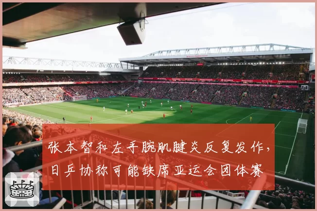 张本智和左手腕肌腱炎反复发作,日乒协称可能缺席亚运会团体赛
