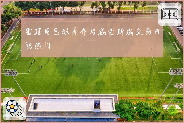 雷霆角色球员乔与威金斯成交易市场热门