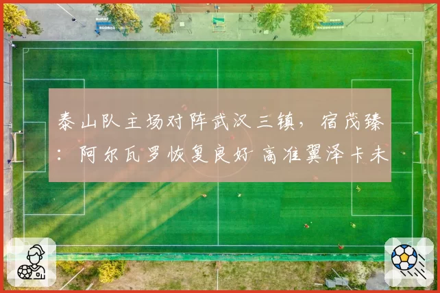泰山队主场对阵武汉三镇，宿茂臻：阿尔瓦罗恢复良好 高准翼泽卡未知